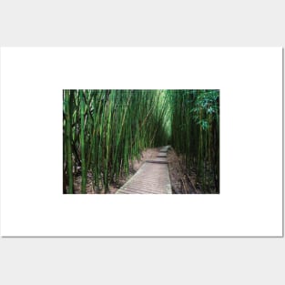 Boardwalk Through Bamboo Pipiwai Trail Hakeakala National Park Kipahulu Posters and Art